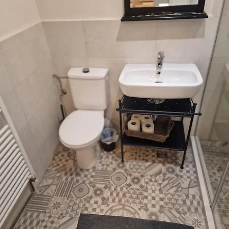 Eroilor Downtown Διαμέρισμα *